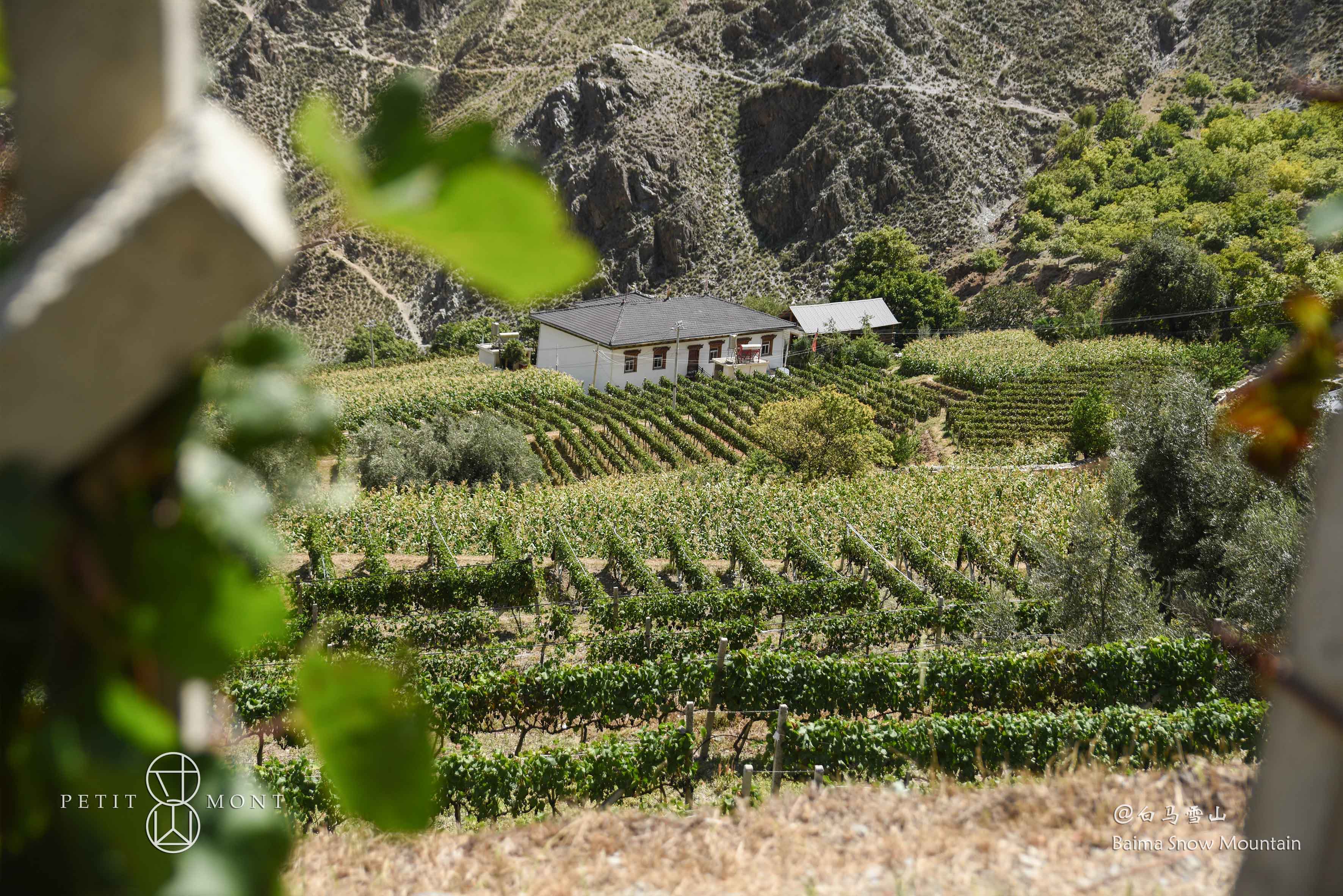 EMW Signs a New Distribution Partnership in Mainland of China with Petit Mont