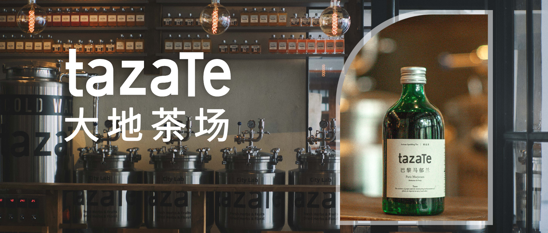 由西往东签约tazaTe大地茶场 成为中国内地特约经销合作伙伴